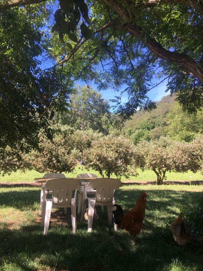 Masia Can Ninot Santa Susanna Bagian luar foto